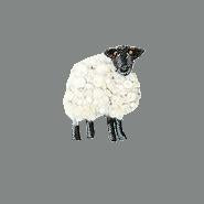 Load image into Gallery viewer, Trovelore Brooch