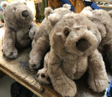 Load image into Gallery viewer, Jellycat Wonda Wombat