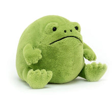 Load image into Gallery viewer, Jellycat Ricky Rain Frog