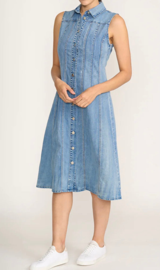 Jean-Eration Dress