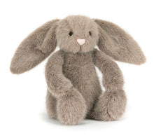 Load image into Gallery viewer, Flufflet Bunnies
