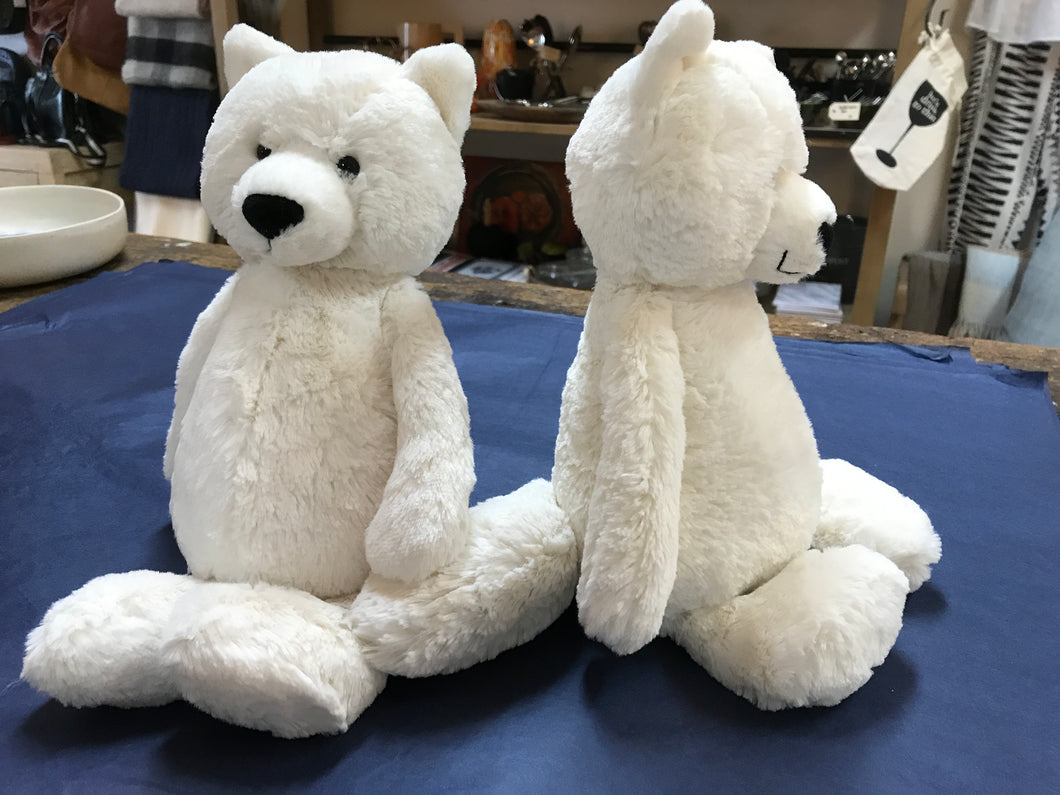 Bashful Artic Fox