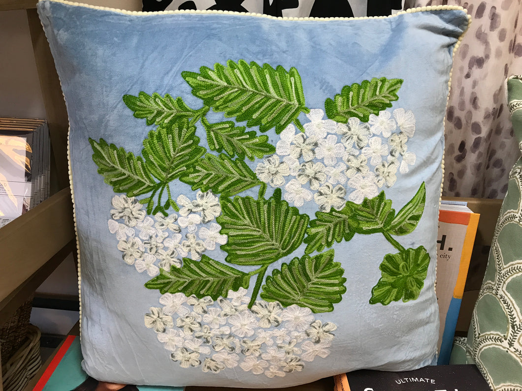 Cushion Hydrangea