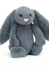 Load image into Gallery viewer, Bashful Dusky Blue Bunny
