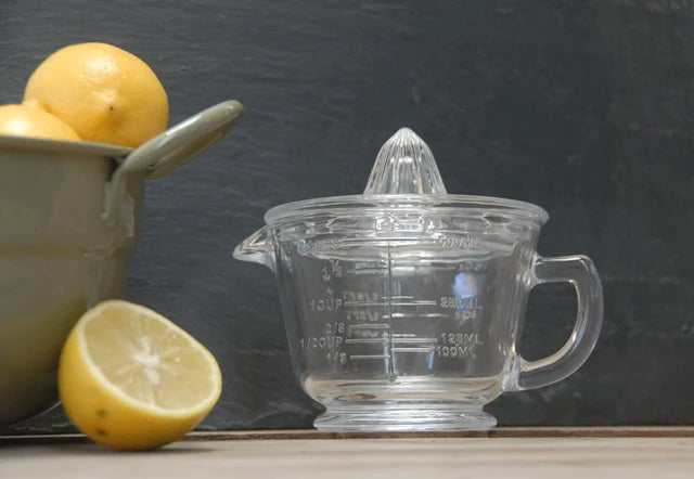 Glass Citrus Juicer