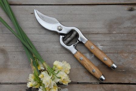 Secateurs (Ash handles)
